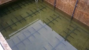 IMG-20170314-WA0042