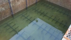 IMG-20170314-WA0043